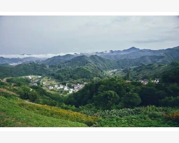 免疫力差跟脾胃有关系吗？