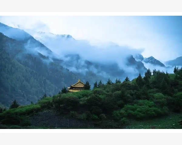 小儿清肺化痰咳嗽颗粒：守护宝宝呼吸健康的中医秘方