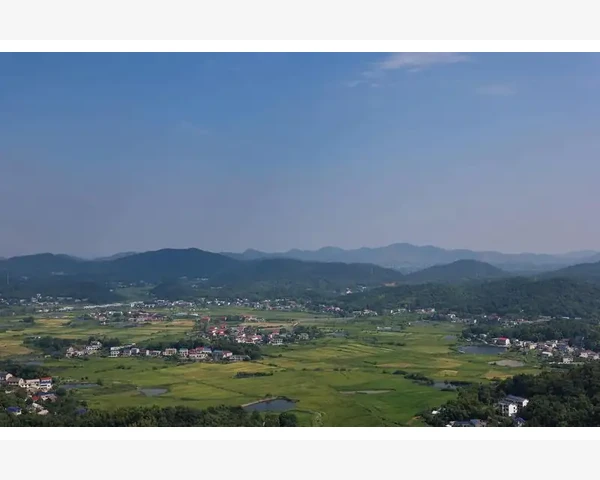 小孩脾胃养护：适合的汤品推荐